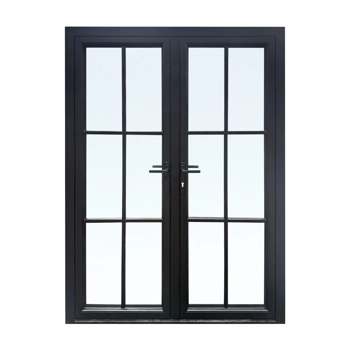Element Aluminum 6 Lite French SDL Double Door